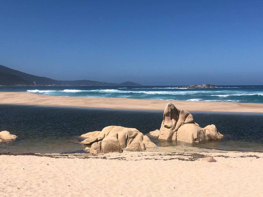 Appartement T2 Avec Piscine Aux Portes De La Plage De Cupabia Serra-di-Ferro  Εξωτερικό φωτογραφία